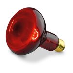 100 Watts Heating Light Bulb Infrared